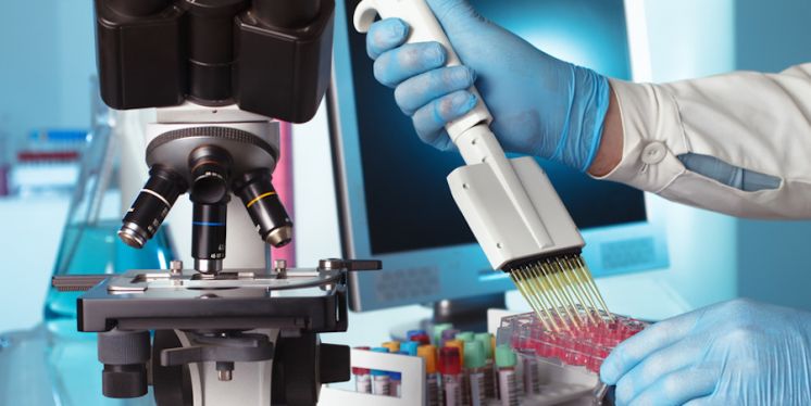 Investigación científica básica